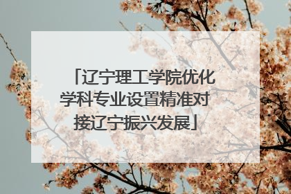 辽宁理工学院优化学科专业设置精准对接辽宁振兴发展